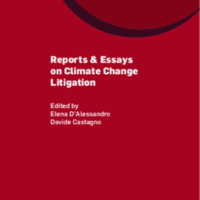 Reports&Essays on Climate Change Litigation (E. D'Alessandro, D. Castagno).pdf